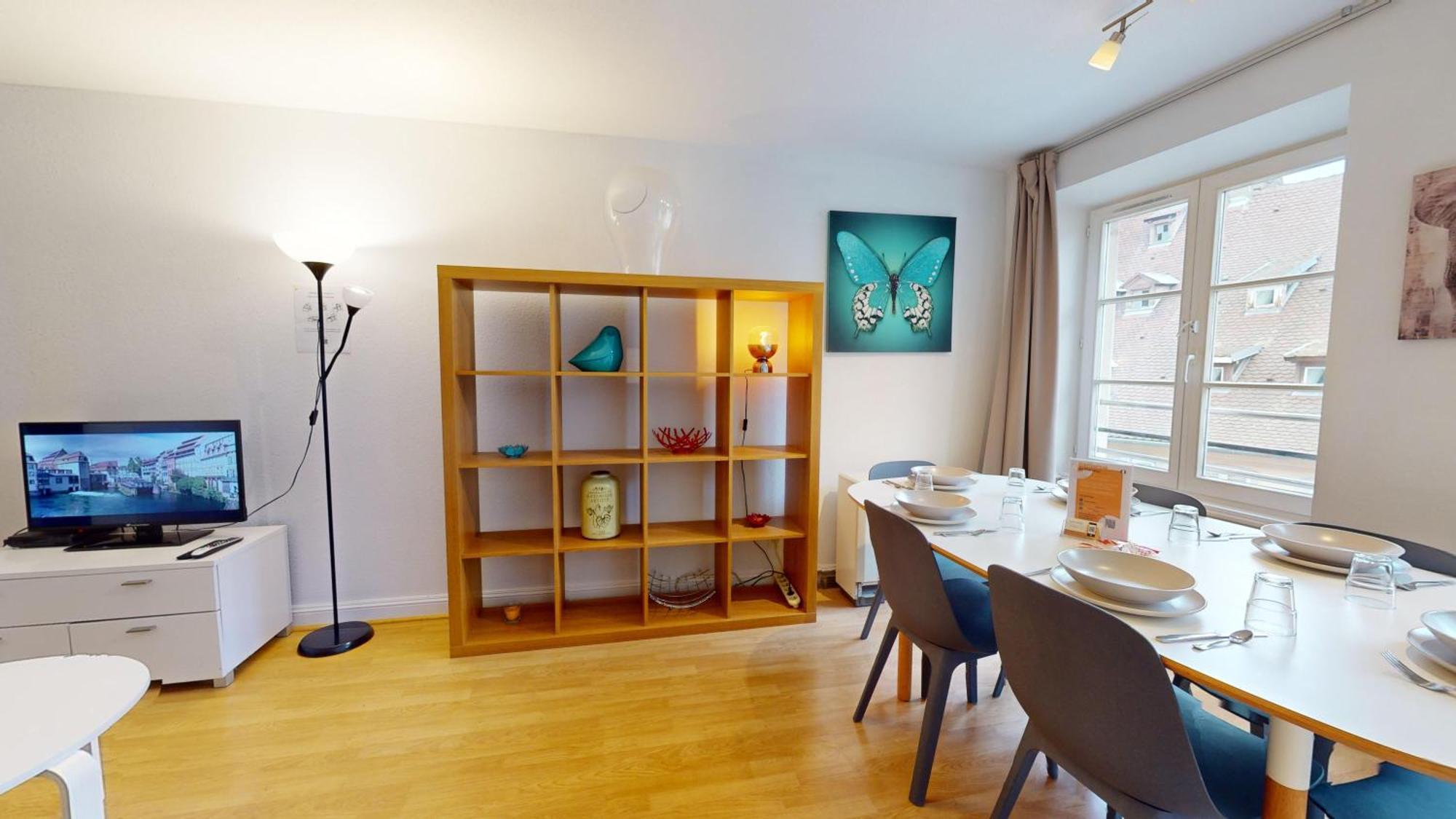 70 M² Center Appartement Strasbourg